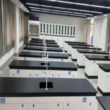城中区中小学功能室成套设备 高中生物实验室建设方案与生化实验室配置图解